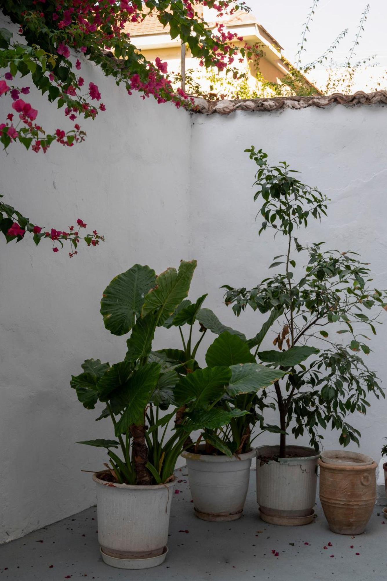 Thissio Getaway 2Ba Next To Athens Ancient Market Buitenkant foto